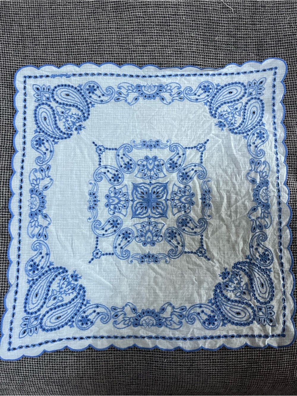 Blue Paisley Madewell Bandana